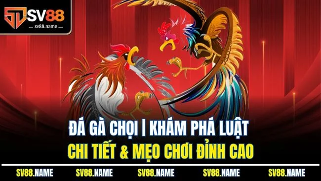 Đá Gà Chọi | Khám Phá Luật Chi Tiết & Mẹo Chơi Đỉnh Cao