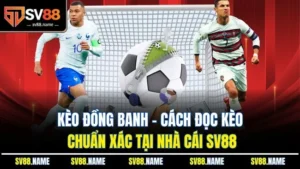 Kèo Đồng Banh – Cách Đọc Kèo Chuẩn Xác Tại Nhà Cái SV88