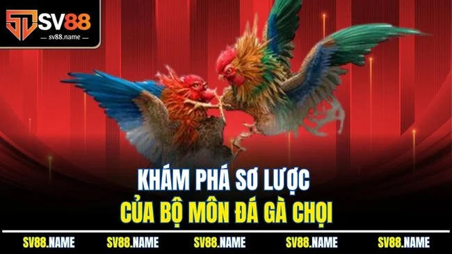 Khám phá sơ lược của bộ môn đá gà chọi